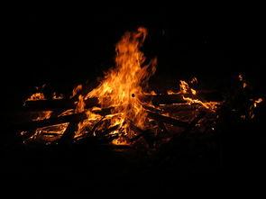 燃烧在线观看 免费,燃烧之旅等你开启  第2张